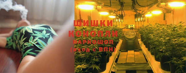гашик Арсеньев