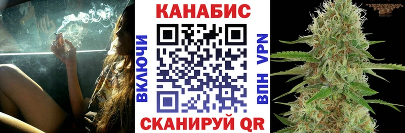 Канабис конопля Шебекино
